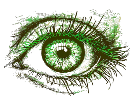 Vision
